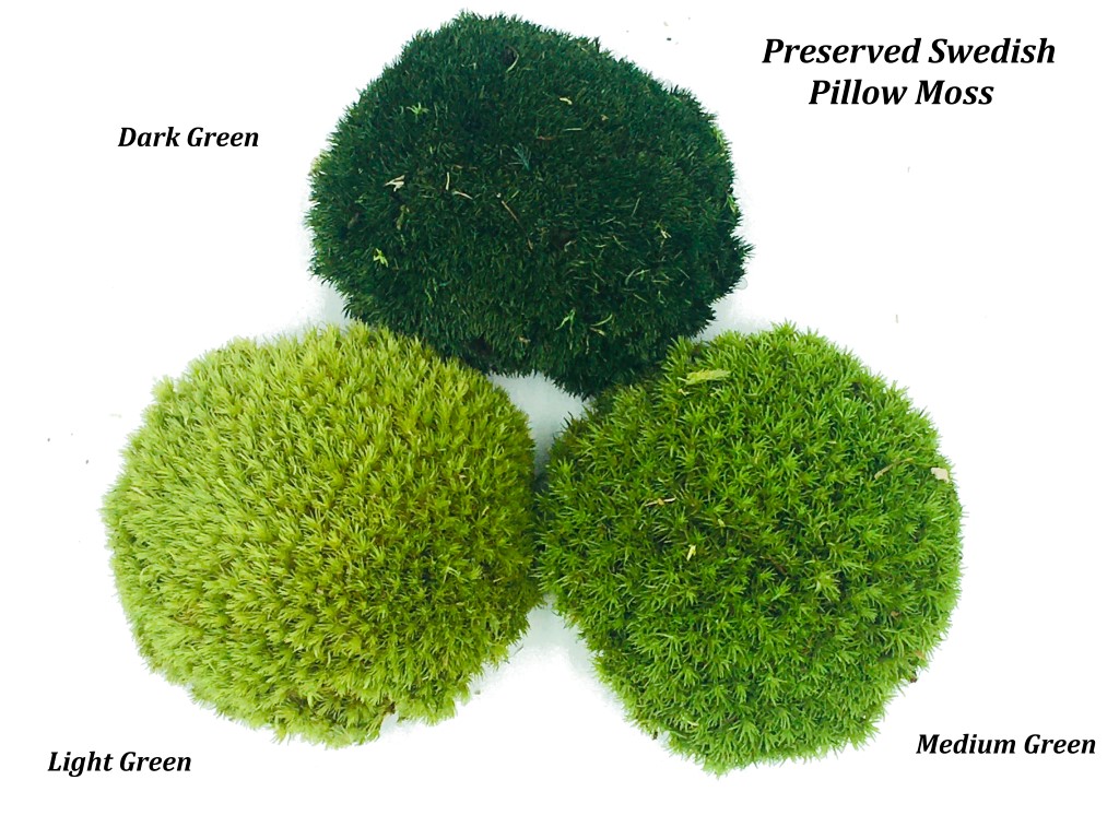 Proflora 18 x 48 True Green Moss Mat - Each